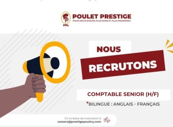 Comptable senior