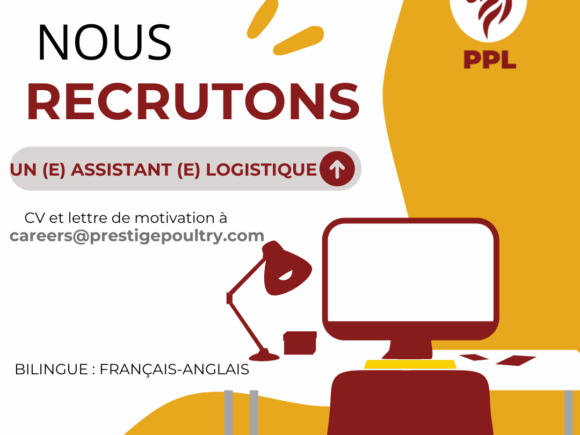 ASSISTANT (E) LOGISTIQUE