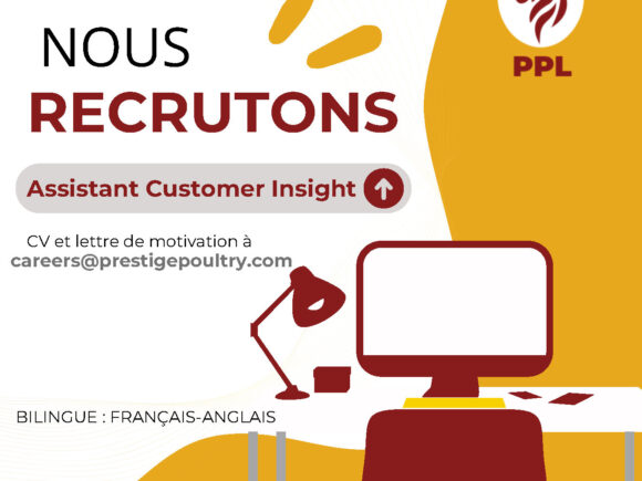 Assistant (e) suivi Client (Customer Insights Assistant).