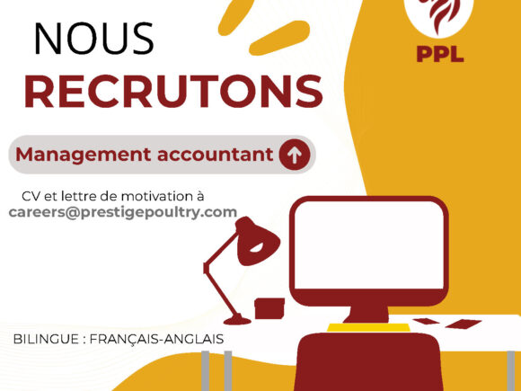 Management Accountant