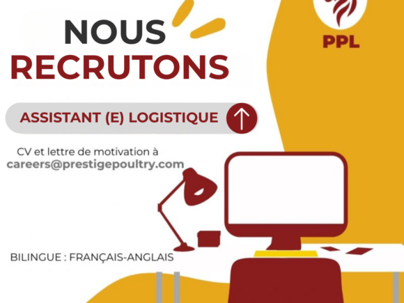 ASSITANT(E) LOGISTIQUE