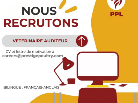 VETERINAIRE AUDITEUR (BILINGUE : ANGLAIS-FRANÇAIS)