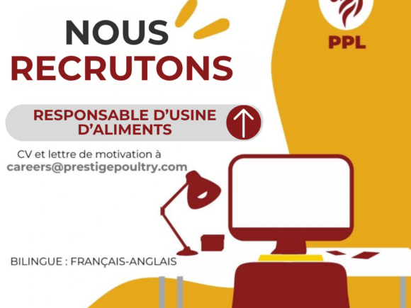 RESPONSABLE D’USINE D’ALIMENTS (BILINGUE : ANGLAIS-FRANÇAIS.)